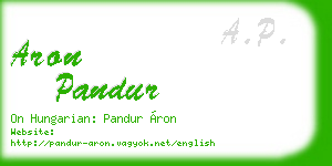 aron pandur business card